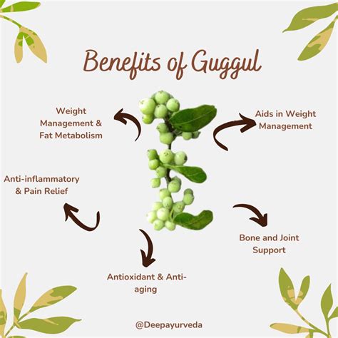 Guggul in Ayurveda: Benefits, Uses & Medicinal Importance