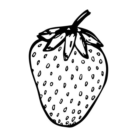 Vector strawberry clipart. Hand drawn berry icon. Fruit illustration ...