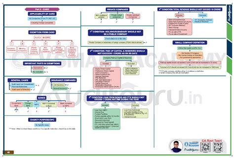CA FINAL AUDIT CARO SUMMARY CHART