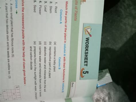 plzz answer this question match the following. - Brainly.in