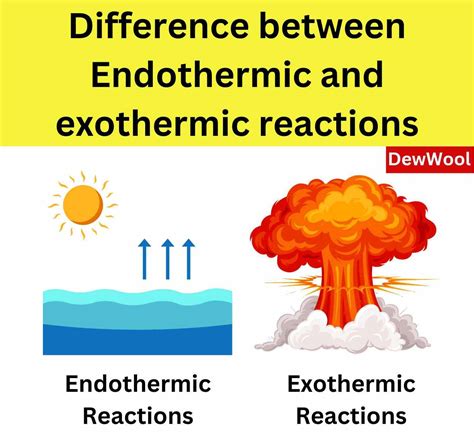 Exothermic Reaction Examples 的图像结果