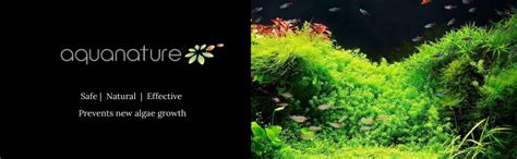 AquaNature® Algae Out Advance Algaecide Stop Algae Growth for ...