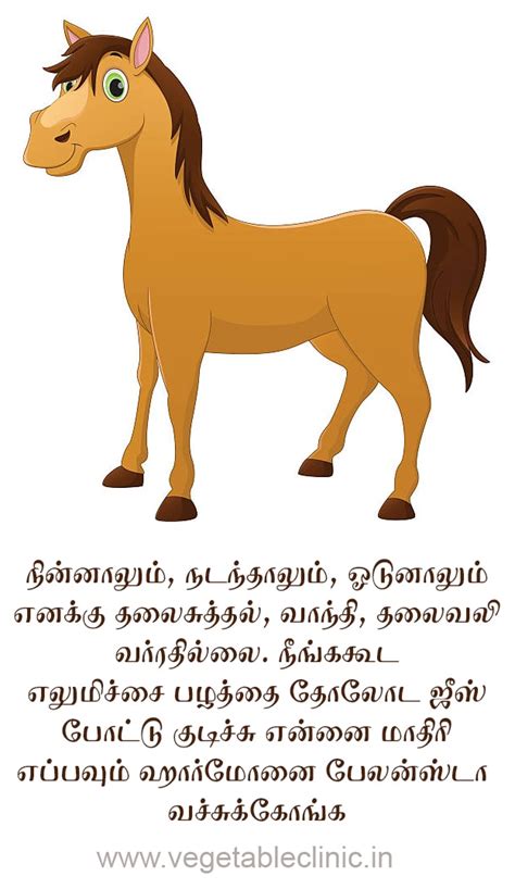 Vegetable Clinic Call : +919994443517 in Coimbatore