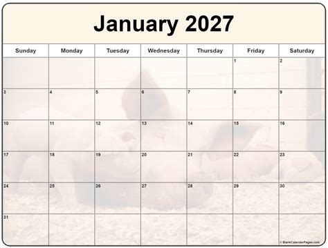 Collection of January 2027 photo calendars with image filters.