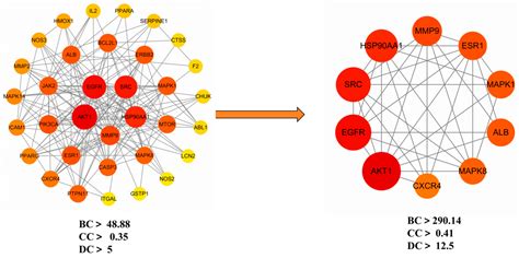 Ethacridine Targets Bacterial Biofilms in Diabetic Foot Ulcers: A Multi ...