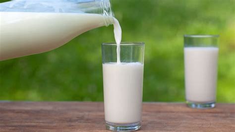 क्या आप जानते हैं दूध के साथ नमक खाने से क्या होता है? | if you mix ...