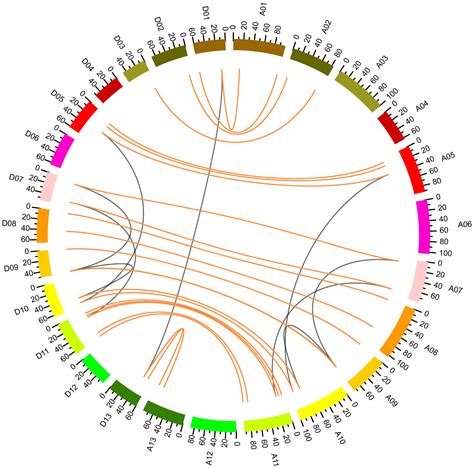 Genome-Wide Analysis of the NF-YB Gene Family in Gossypium hirsutum L ...