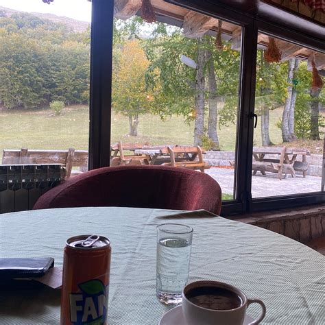 MOTEL VUCJE (Niksic) - Lodging Reviews, Photos, Rate Comparison ...