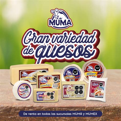 MUMA Logo 的图像结果