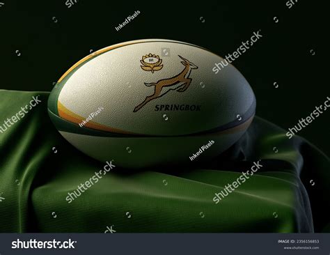 Image result for Springbok Rugby Ball