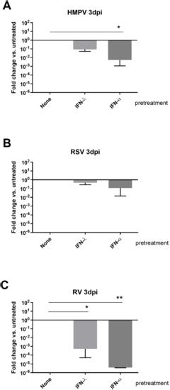 RSV and HMPV Infections in 3D Tissue Cultures: Mechanisms Involved in ...