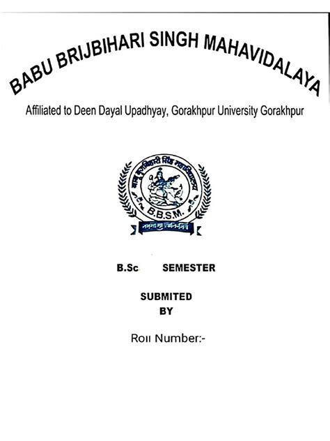 Maths Project Work 的图像结果