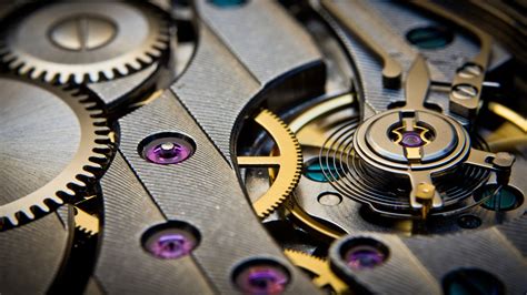 Renta básica universal | Meer