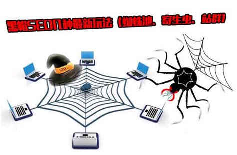 揭开黑帽SEO的神秘面纱：蜘蛛池、寄生虫、站群 | SEO教程自学网