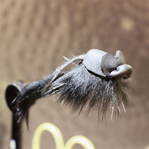 Image result for Master Splinter Fly