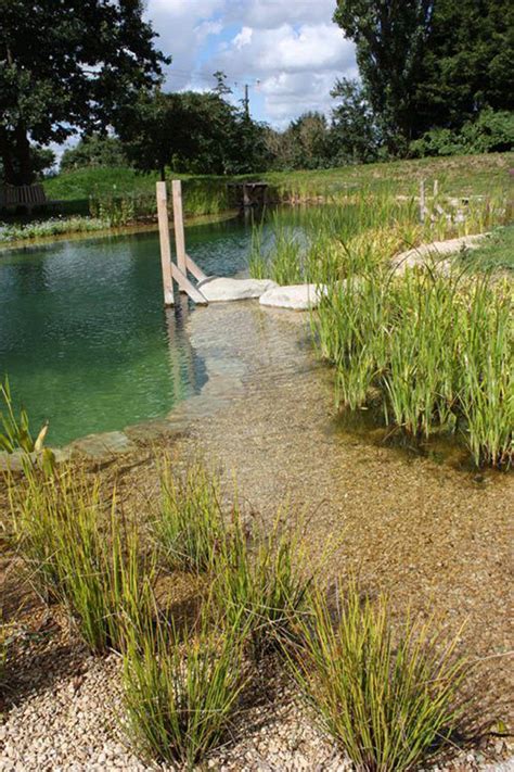 River Pool 的图像结果