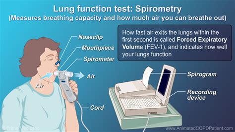 Image result for SpO2 and COPD