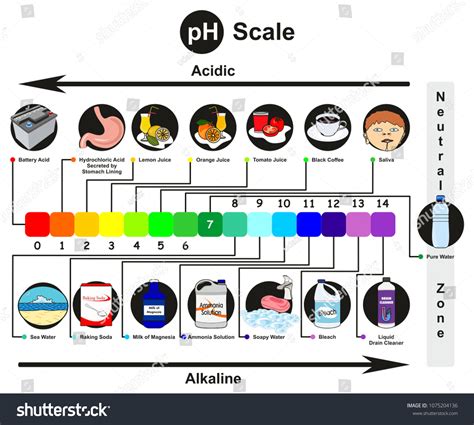 PH Scale Explained 的图像结果