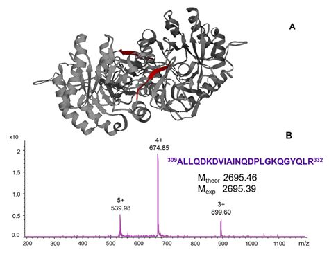 Identification and Affinity Determination of Protein-Antibody and ...