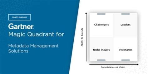 Metadata Management Magic Quadrant 的图像结果