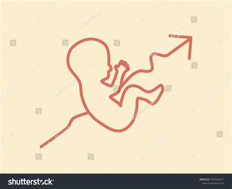 Image result for Fertility Rate Icon