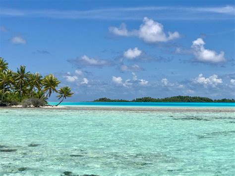 Destination: Rangiroa, French Polynesia! | Turtle Creek Lane