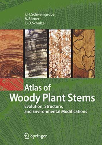 Buy ATLAS OF WOODY PLANT STEMS EVOLUTION STRUCTURE AND ENVIRONMENTAL ...