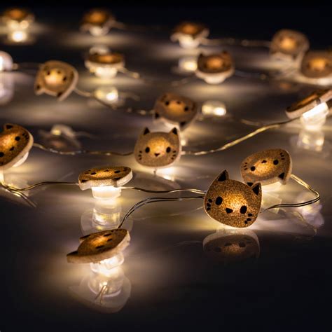 Kuvatulokset haulle cat string shell