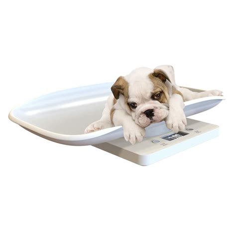 Petyoung Multi-Function Digital Pet Scale to Measure Dog and Cat Weight ...