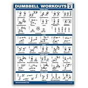 Buy Learning Dumbbell Workout Exercise Poster Laminated Free Weight ...