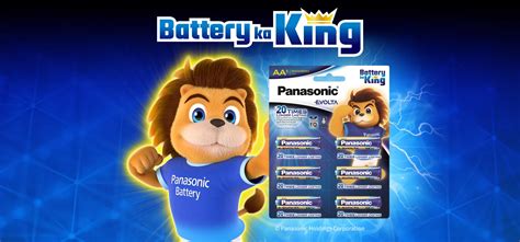 AA 6pcs Alkaline Batteries EVOLTA - Panasonic India