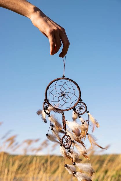 Side View Catcher 的图像结果