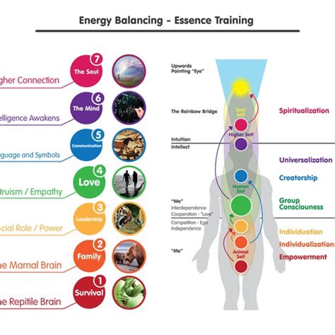 Human Energy Field Types 的图像结果