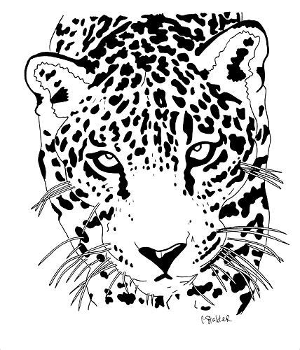 Jaguar Animal Drawing Realistic - Drawing Skill