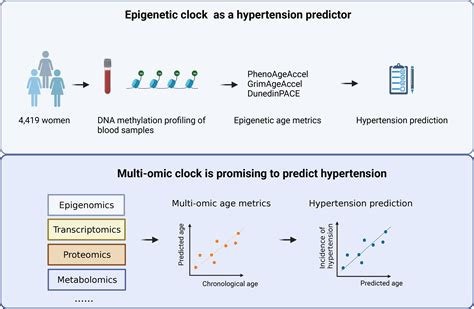 Epigenetic Clock: Future of Hypertension Prediction? | Hypertension