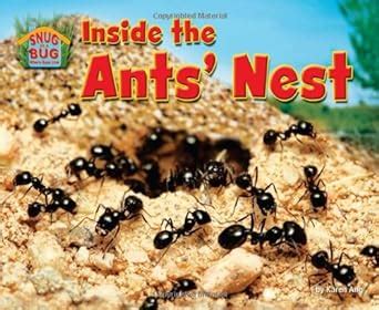 Inside the Ants' Nest (Snug as a Bug: Where Bugs Live) : Ang, Karen ...