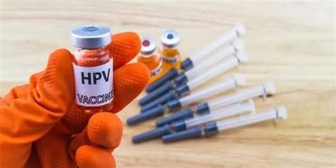 打HPV疫苗后能接种新冠疫苗吗？过敏患者能打吗？专家解答|HPV_新浪新闻