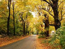 Best Autumn Wallpapers Hd by Autumn Wallpapers Hd Best Autumn Wallpapers Hd Best Autumn Wallpapers Hd