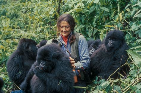 All About Dian Fossey