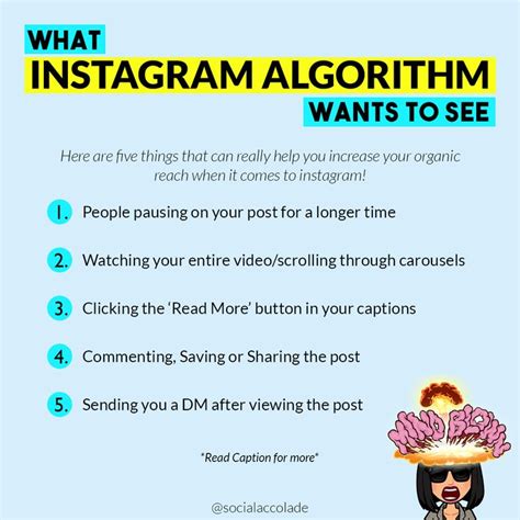 Image result for Algorithm Instagram Flochart