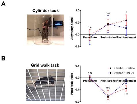 Growth Hormone Promotes Motor Function after Experimental Stroke and ...