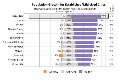 Cedar City Wellbeing Survey Findings 2024 | Utah Wellbeing Project | USU
