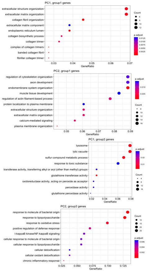 Substrate Stiffness Modulates TGF-β1-Induced Lineage Specification in ...