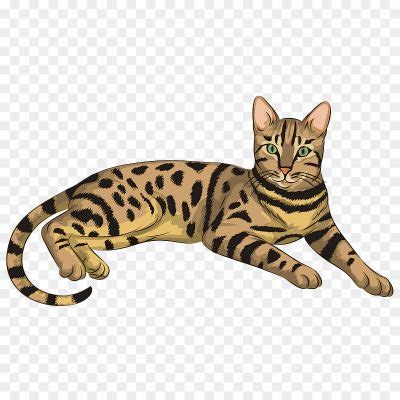 Cats PNG Clipart Background - Pngsource