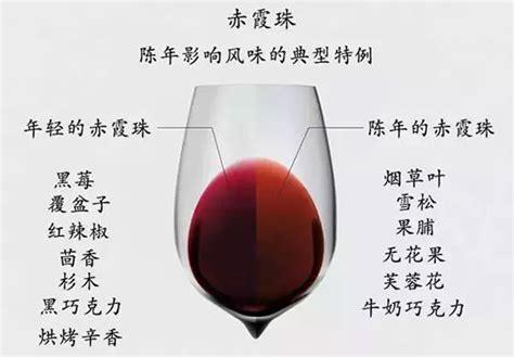 5招教你轻松辨别葡萄酒陈年潜力！ | 读醉