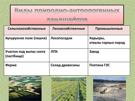 Особенности и значимость изменения человеком природных ландшафтов ...