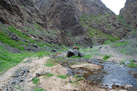 Hello from Mongolia!