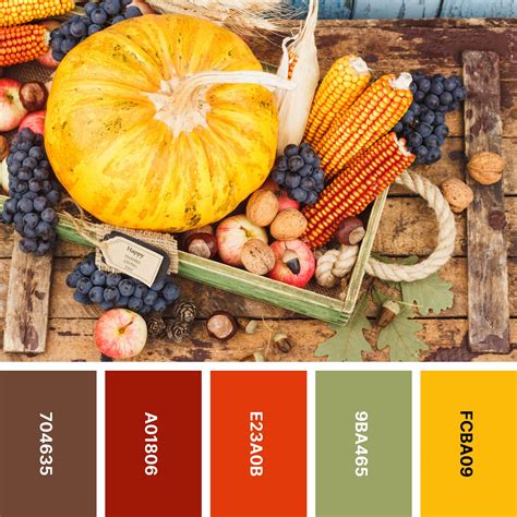 What Are Thanksgiving Colors