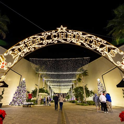 Light Up Ocala 2025 | Event Schedule and Info | Ocala / Marion County ...