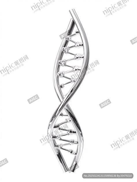 Dna双螺旋 的图像结果